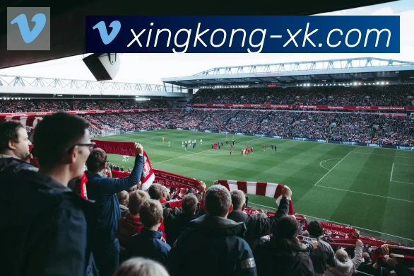 xingkong服务体系