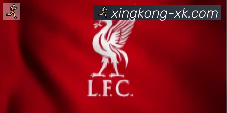 xingkong合作伙伴