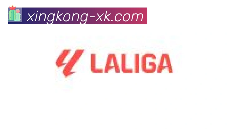 xingkong合作伙伴