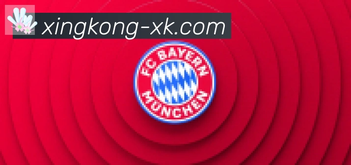 xingkong合作伙伴